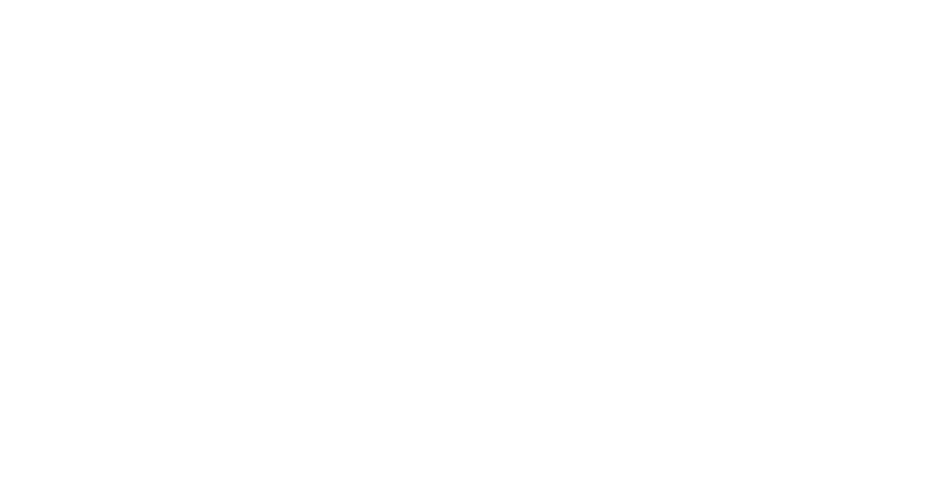 Logo Corporativo PFS